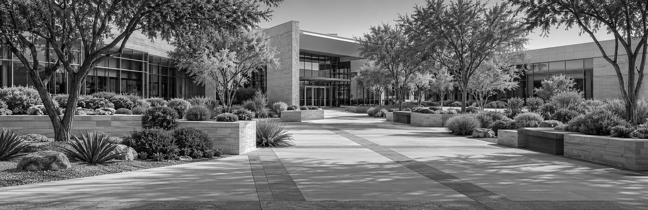 Landscaped modern commercial campus grounds